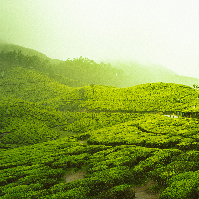 kerala-03