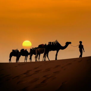 Rajasthan