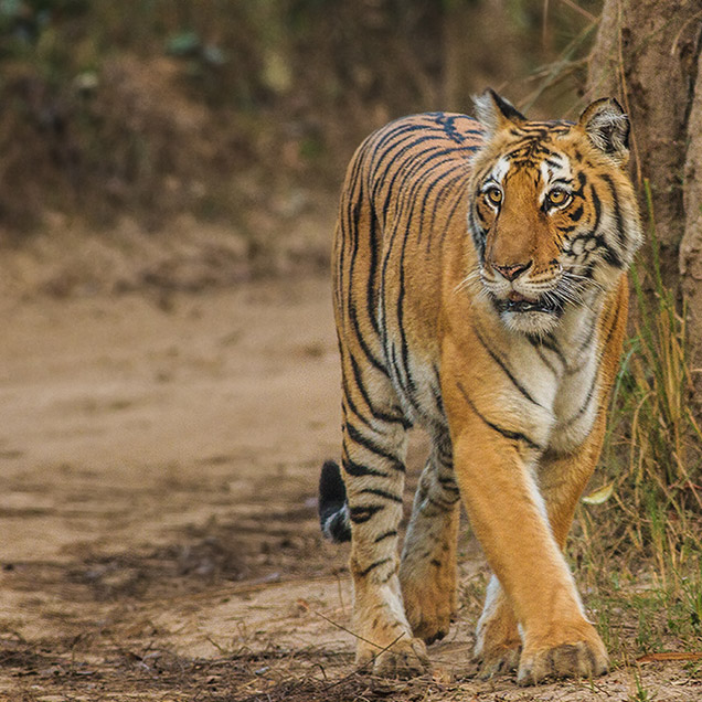 Uttarakhand