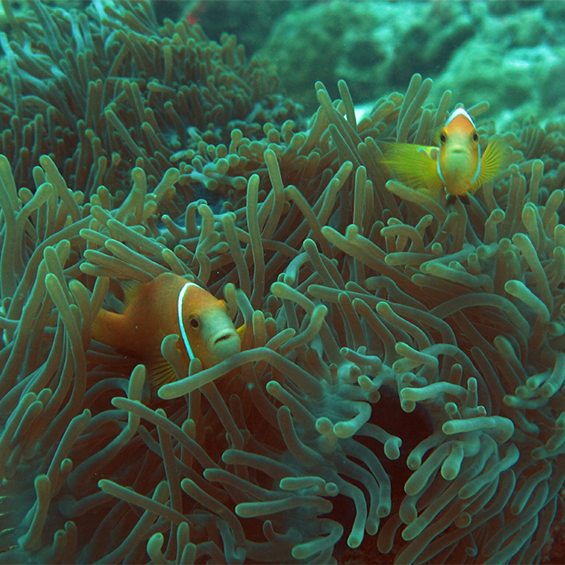 lakshadweep-03